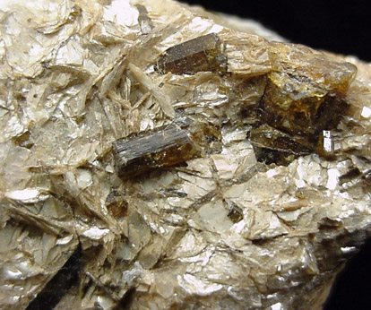 Dravite Tourmaline from Dobrawa, Carinthia, Austria (Type Locality for Dravite)