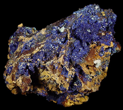 Azurite from Zacatecas, Mexico