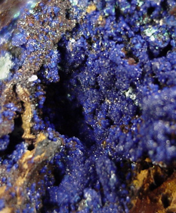 Azurite from Zacatecas, Mexico