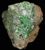 Szenicsite from Jardinera #1 Mine, Inca de Oro, Atacama, Chile (Type Locality for Szenicsite)