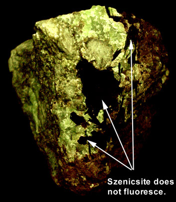 Szenicsite from Jardinera #1 Mine, Inca de Oro, Atacama, Chile (Type Locality for Szenicsite)