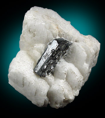 Columbite-(Fe) on Albite from Shengus, Skardu Road, Gilgit, Pakistan