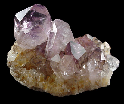 Quartz var. Amethyst from Kidder Lane east of Woodland Road, Southborough, Worcester County, Massachusetts