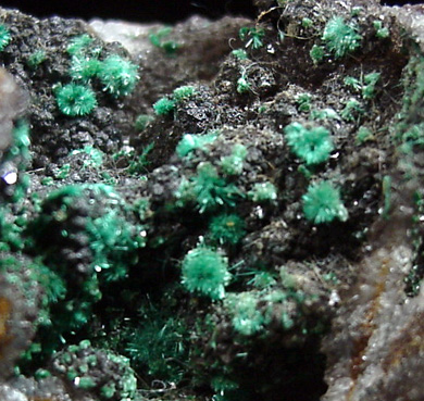 Malachite on Quartz from Tsumeb Mine, Otavi-Bergland District, Oshikoto, Namibia