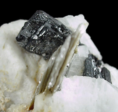 Columbite-(Fe) on Albite from Shengus, Skardu Road, Gilgit, Pakistan