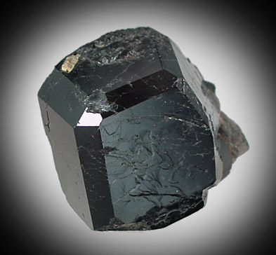 Dravite-Uvite Tourmaline from Bower Power's Farm, Pierrepont, St. Lawrence County, New York