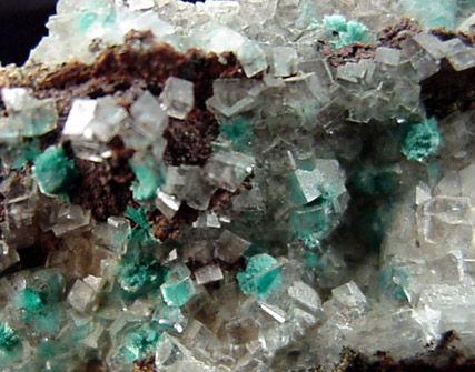 Rosasite in Hemimorphite from Mina Ojuela, Mapimi, Durango, Mexico