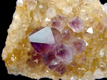 Quartz var. Amethyst from Kidder Lane east of Woodland Road, Southborough, Worcester County, Massachusetts