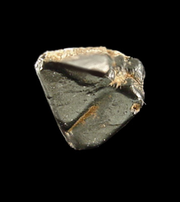 Spinel var. Pleonaste from Anteiriky, Madagascar