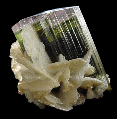 Elbaite Tourmaline from Stak Nala, Skardu Road, Baltistan, Gilgit-Baltistan, Pakistan