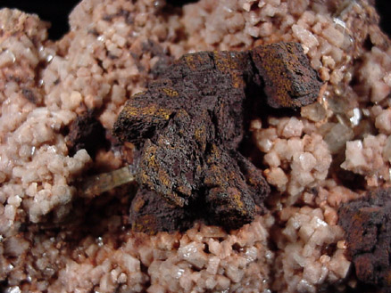 Goethite pseudomorphs after Siderite on Microcline from Crystal Creek, Florissant, Teller County, Colorado