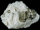 Pyrite from NE Mine Co., Adams, Berkshire County, Massachusetts