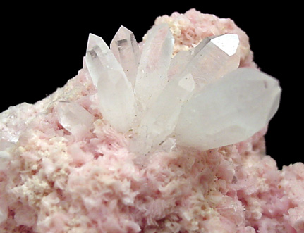 Rhodochrosite and Quartz from Cavnic Mine (Kapnikbanya), Maramures, Romania (Type Locality for Rhodochrosite)