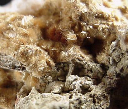 Raite on Natrolite from Lovozero Massif, Kola Peninsula, Murmanskaja Oblast', Northern Region, Russia (Type Locality for Raite)