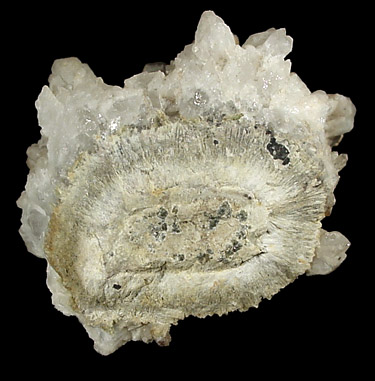 Quartz on Johannsenite from Iron Cap Mine, Graham County, Arizona