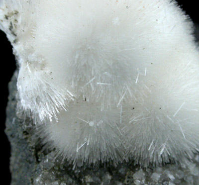 Natrolite from Millington Quarry, Bernards Township, Somerset County, New Jersey