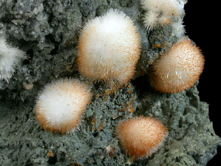 Natrolite from Millington Quarry, Bernards Township, Somerset County, New Jersey