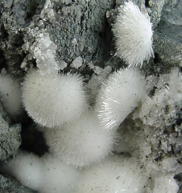 Natrolite from Millington Quarry, Bernards Township, Somerset County, New Jersey