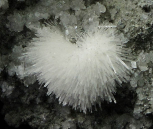 Natrolite with Calcite from Millington Quarry, Bernards Township, Somerset County, New Jersey