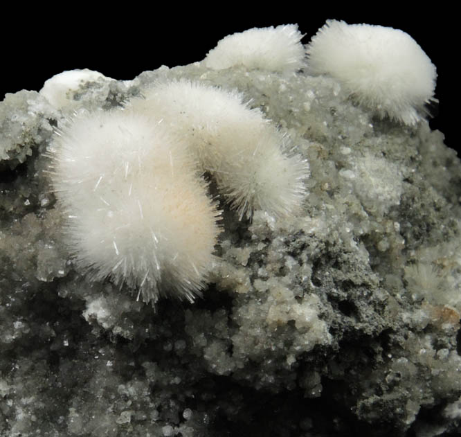 Natrolite with Calcite from Millington Quarry, Bernards Township, Somerset County, New Jersey