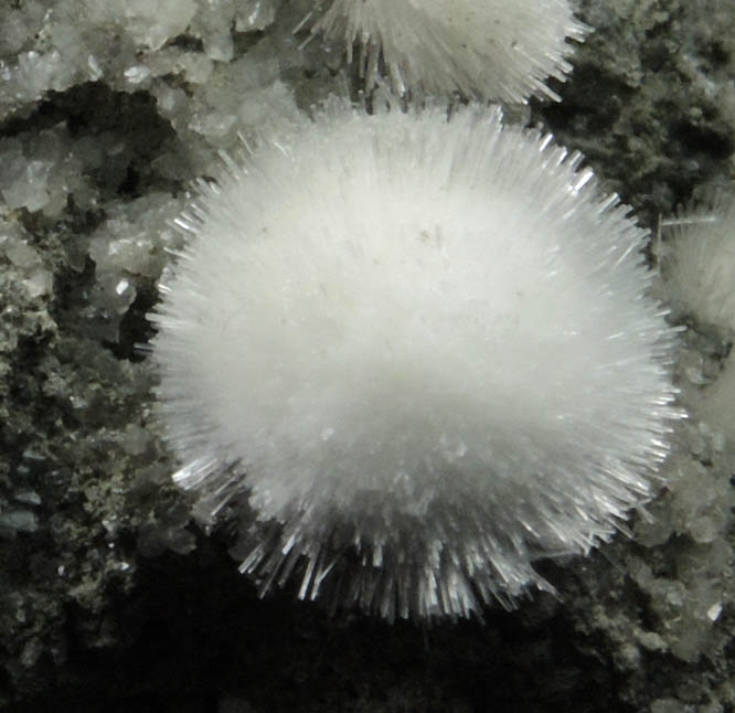 Natrolite with Calcite from Millington Quarry, Bernards Township, Somerset County, New Jersey