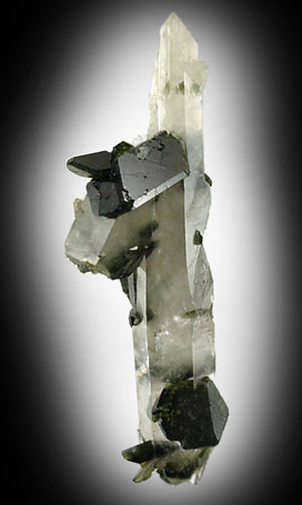 Uvite Tourmaline on Quartz from Brumado District, Serra das guas, Bahia, Brazil