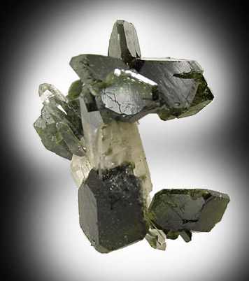 Uvite Tourmaline on Quartz from Brumado District, Serra das guas, Bahia, Brazil