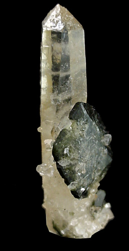 Uvite Tourmaline on Quartz from Brumado District, Serra das guas, Bahia, Brazil