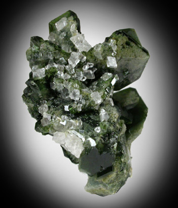 Uvite Tourmaline with Magnesite from Brumado District, Serra das guas, Bahia, Brazil