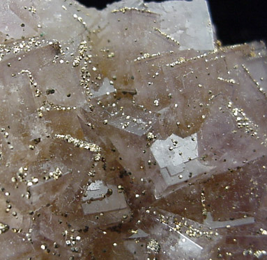 Pyrite on Fluorite from Moscona Mine, Villabona District, Asturias, Spain