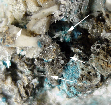 Penfieldite from Sierra Gorda, Antofagasta, Chile