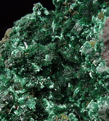 Malachite from Tsumeb Mine, Otavi-Bergland District, Oshikoto, Namibia