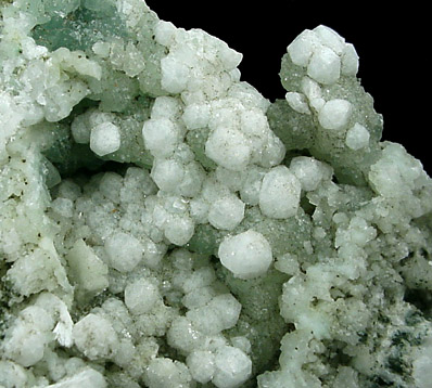 Analcime on Prehnite from Upper New Street Quarry, Paterson, Passaic County, New Jersey