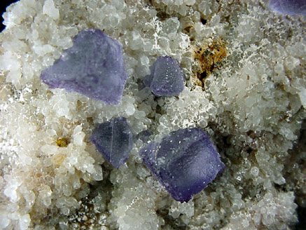 Fluorite on Quartz from Hickey #1 Mine, Mex-Tex mine group, Hansonburg District, 8.5 km south of Bingham, Socorro County, New Mexico