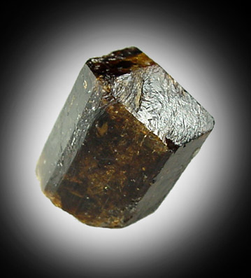 Dravite Tourmaline from Yinnietharra Station, Pilbara, Western Australia, Australia