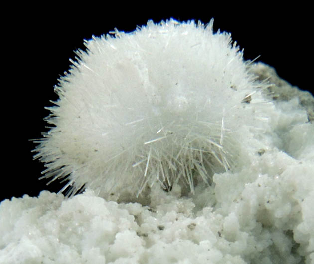 Natrolite on Datolite from Millington Quarry, Bernards Township, Somerset County, New Jersey