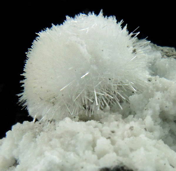 Natrolite on Datolite from Millington Quarry, Bernards Township, Somerset County, New Jersey