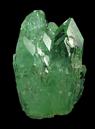 Apophyllite from Pashan, Maharashtra, India