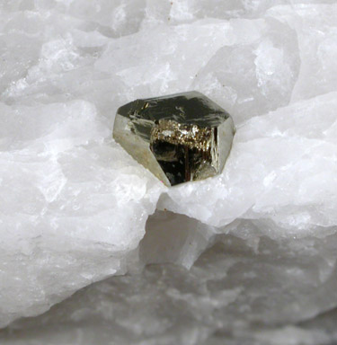 Pyrite from NE Mine Co. Quarry, Adams, Berkshire County, Massachusetts