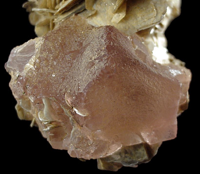 Fluorite on Muscovite from Nagir, near Karimabad, Hunza Valley, Gilgit-Baltistan, Pakistan