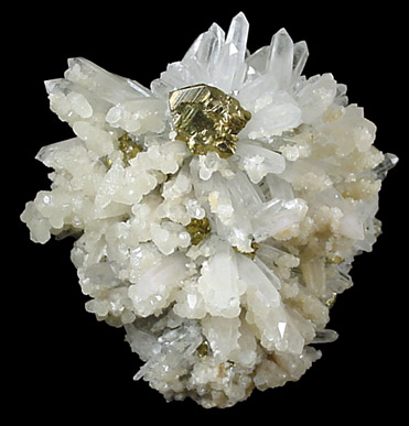 Chalcopyrite on Quartz from Cavnic Mine (Kapnikbanya), Maramures, Romania