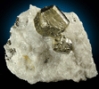 Pyrite from NE Mine Co. Quarry, Adams, Berkshire County, Massachusetts