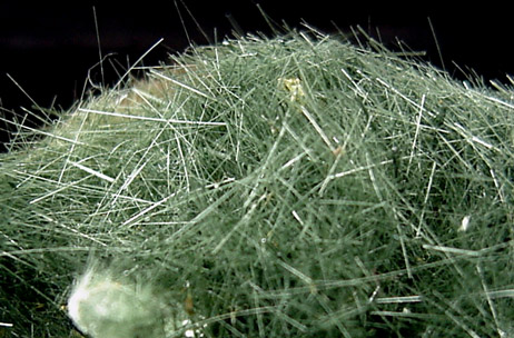 Actinolite with Quartz from Alchuri, Shigar Valley, Skardu District, Baltistan, Gilgit-Baltistan, Pakistan