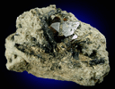 Zircon with Ilmenite from Lovozero Massif, Kola Peninsula, Murmanskaja Oblast', Northern Region, Russia