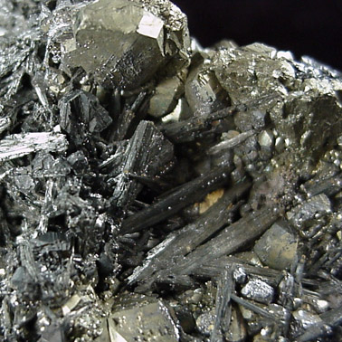 Stibnite and Pyrite from Santa Rita Mine, Nieves, Zacatecas, Mexico