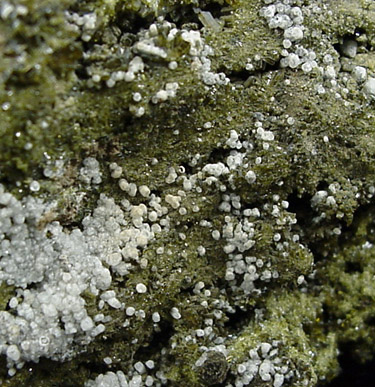 Clinozoisite var. Pistacite from Owyhee County, Idaho