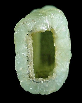 Prehnite epimorph after Anhydrite from Prospect Park Quarry, Prospect Park, Passaic County, New Jersey