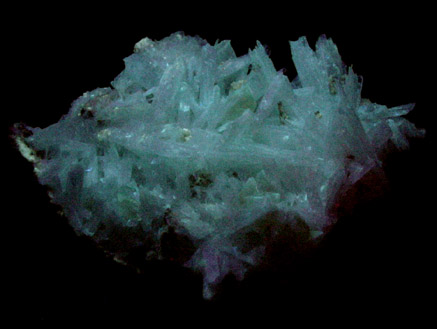 Celestine and Calcite from Clay Center, Ottawa County, Ohio