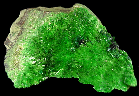 Cuprosklodowskite - (H3O)2Cu(UO2)2(SiO4)2+2H2O from Musonoi Mine, Kolwezi District, Katanga Copperbelt, Lualaba Province, Democratic Republic of the Congo