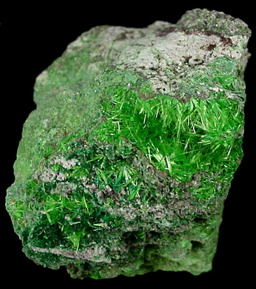 Cuprosklodowskite - (H3O)2Cu(UO2)2(SiO4)2+2H2O from Musonoi Mine, Kolwezi District, Katanga Copperbelt, Lualaba Province, Democratic Republic of the Congo